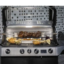 BlazeFlame Rotisserie