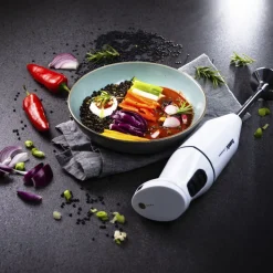 Cordless Stavblender 10,8 volt