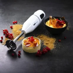 Cordless Stavblender 10,8 volt