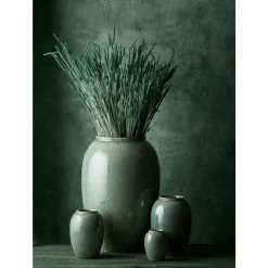 Gastro Vase
