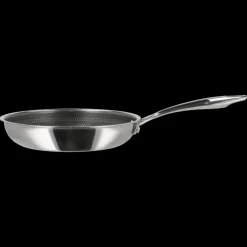 Paillon Hybrid Stegepande