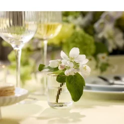 Palermo Gold Shotglas 6 stk.