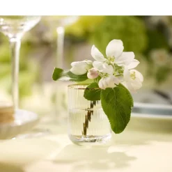 Palermo Gold Shotglas 6 stk.