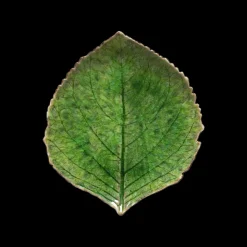 Riviera Asiet hortensiablad