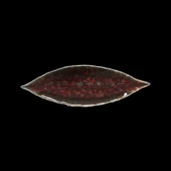 Riviera Asiet laurbærblad