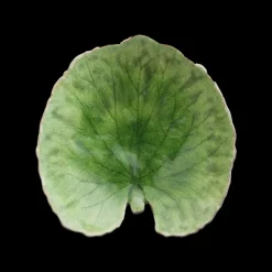 Riviera Tallerken åkandeblad