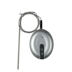 Stegetermometer digitalt